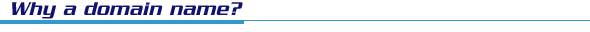 Why a domain name?